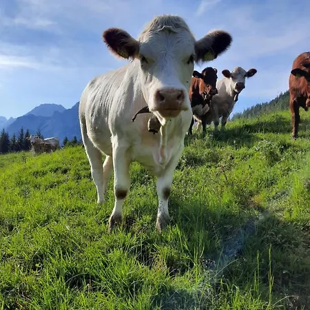 Motthof Apartament *